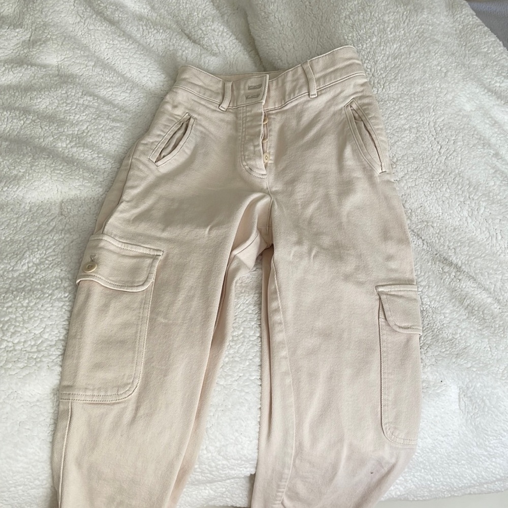Aritzia Wilfred free modern cargo pants